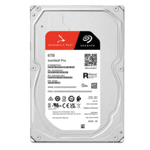 Hard Disk Seagate 6TB Nas Pro Ironwolf